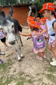 4 Wycieczka Animal Island+ Sala Zabaw "KULKA" 2024